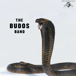 The Budos band III
